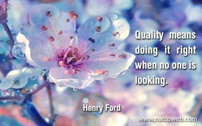 Henry Ford's Quote